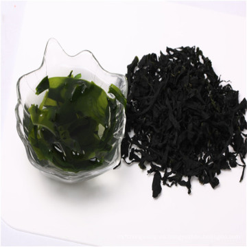 Exportar kosher verde oscuro grado ABC wakame SML tamaño algas secas